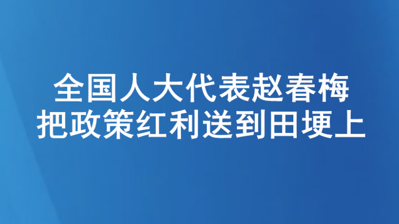 全国人大代表赵春梅：把政策红利送到田埂上