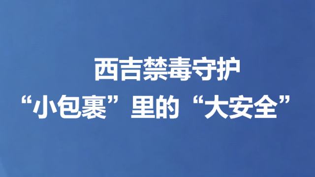 西吉禁毒守护“小包裹”里的“大安全”