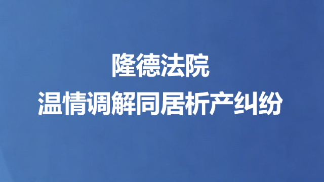 隆德法院温情调解同居析产纠纷