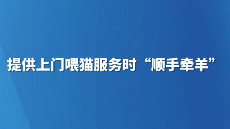 提供上门喂猫服务时“顺手牵羊”