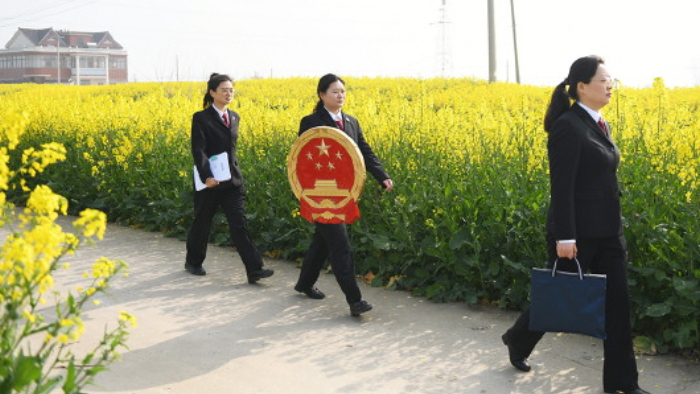 政法机关护航春耕