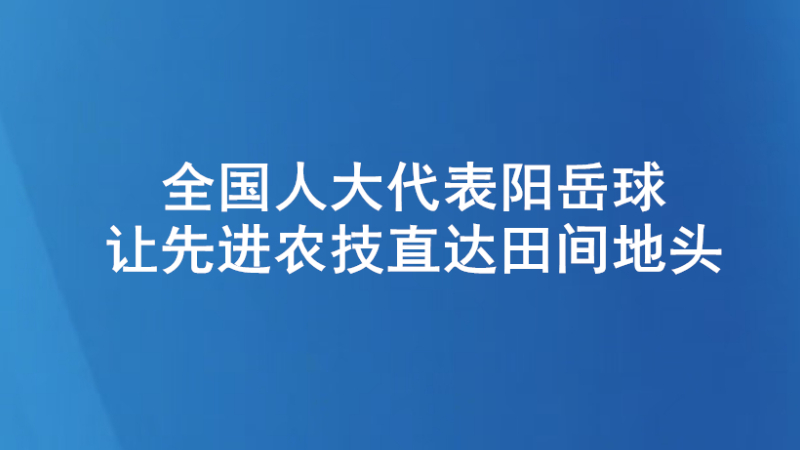 全国人大代表阳岳球：让先进农技直达田间地头