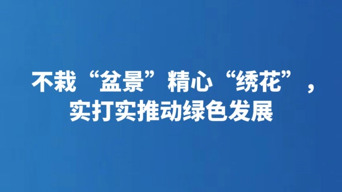 不栽“盆景”精心“绣花”，实打实推动绿色发展