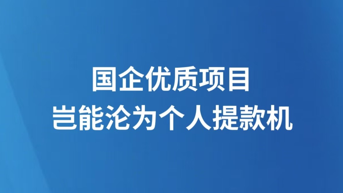 国企优质项目岂能沦为个人提款机