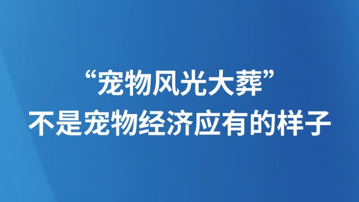 “宠物风光大葬”，不是宠物经济应有的样子
