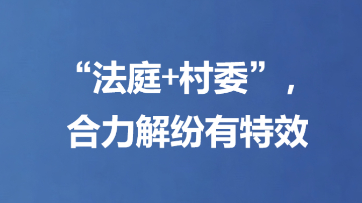 “法庭+村委”，合力解纷有特效