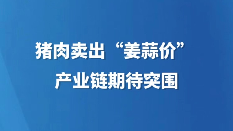 猪肉卖出“姜蒜价” 产业链期待突围