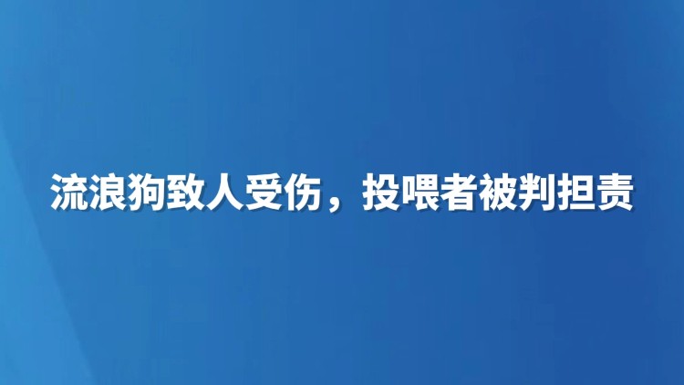 流浪狗致人受伤，投喂者被判担责