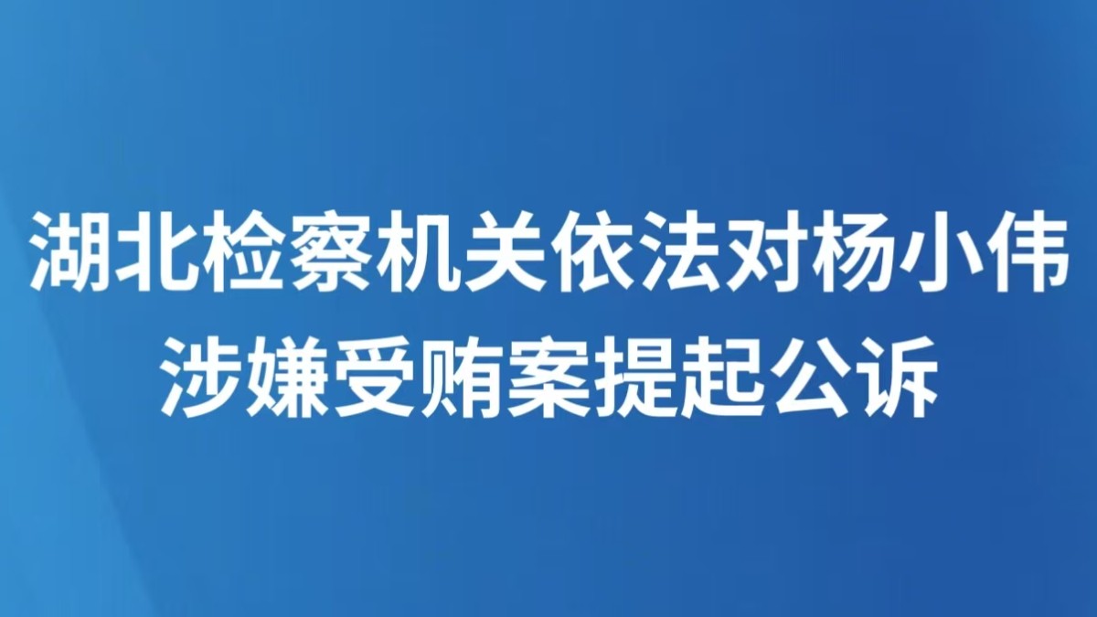 湖北检察机关依法对杨小伟涉嫌受贿案提起公诉