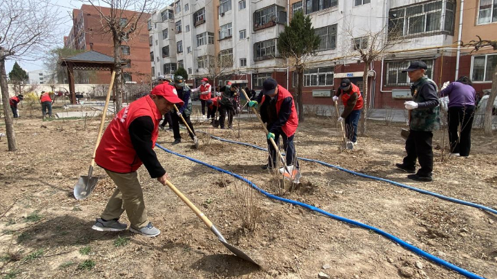 银川市西夏区伊地社区：党建引领聚合力 多方协同植新绿