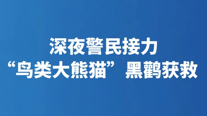 深夜警民接力 “鸟类大熊猫”黑鹳获救