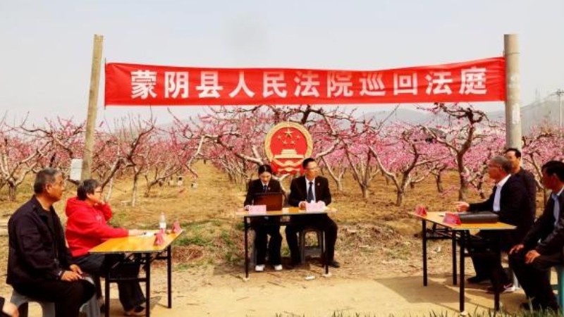 庭审开在桃园旁