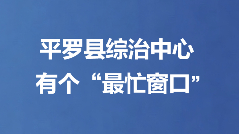 平罗县综治中心有个“最忙窗口”