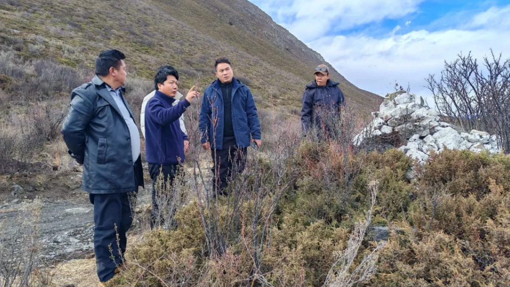 深耕一线守边界 主动作为护平安——八衣绒乡“1+3+N”筑牢边界平安防线