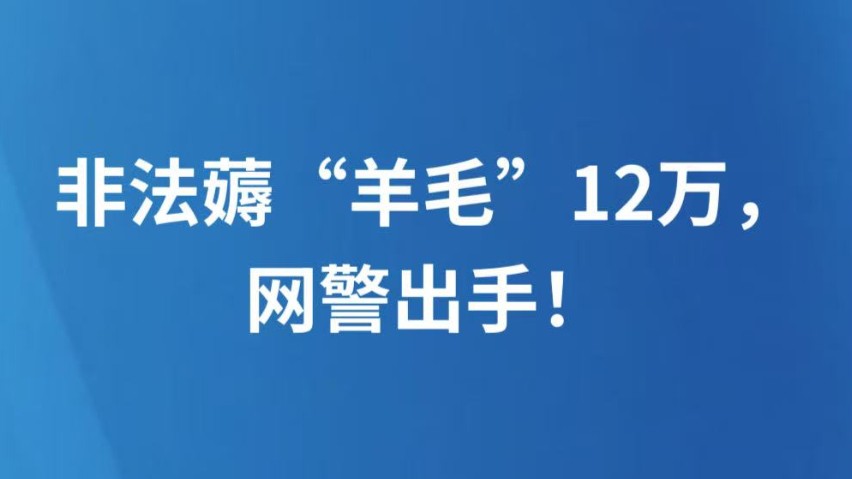 非法薅“羊毛”12万，网警出手！