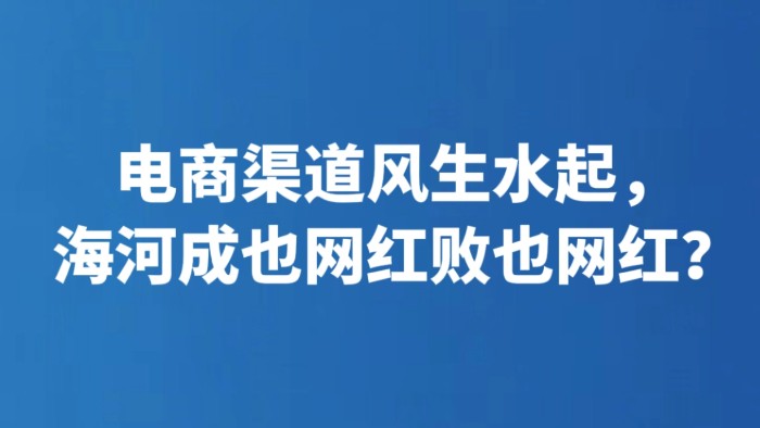 电商渠道风生水起，海河成也网红败也网红？
