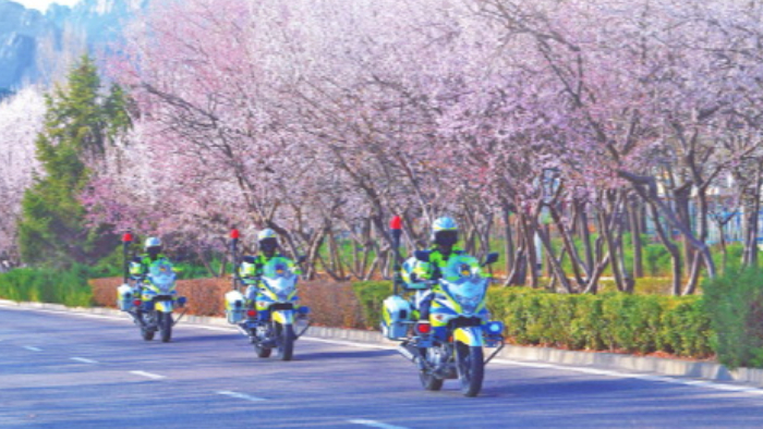 群众居家更安心出行更放心生活更舒心