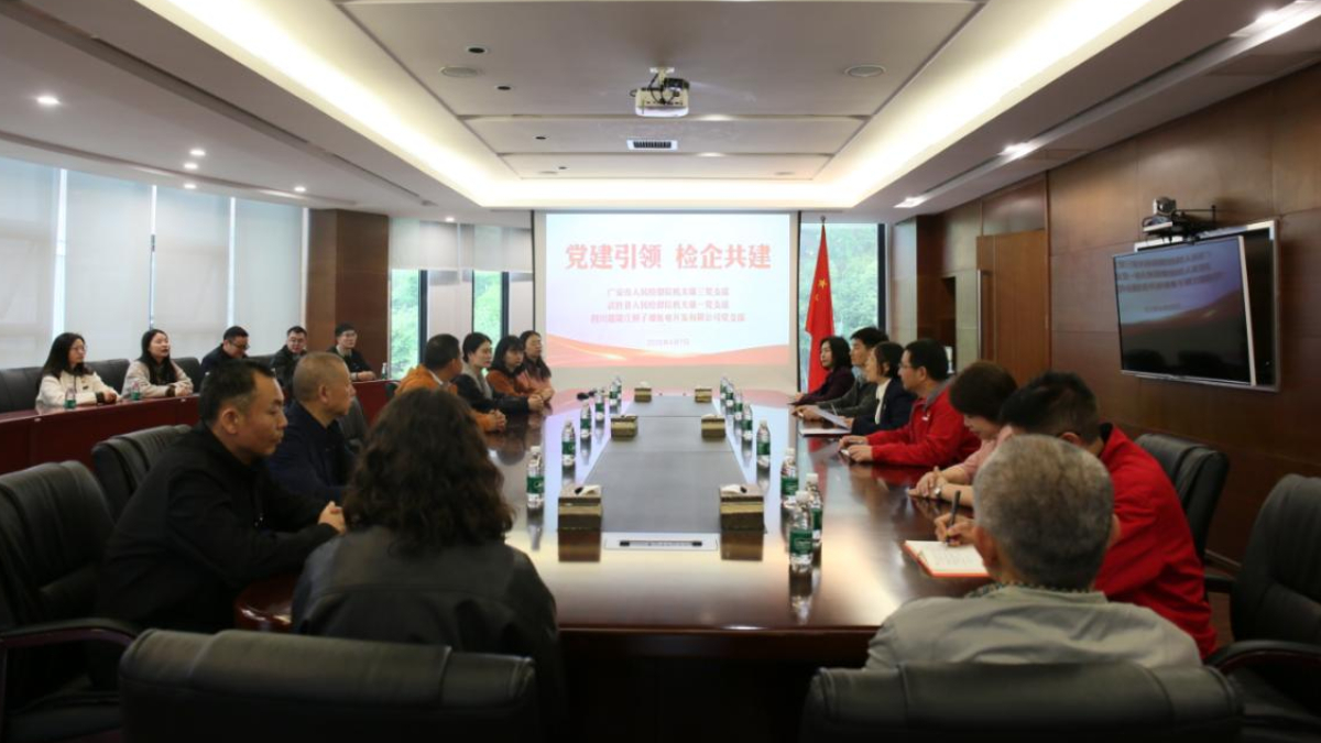 党建引领聚合力 检务同行促发展——广安市检察院第三党支部、县检察院第一党支部与桐子壕水电站党支部共建主题党日活动