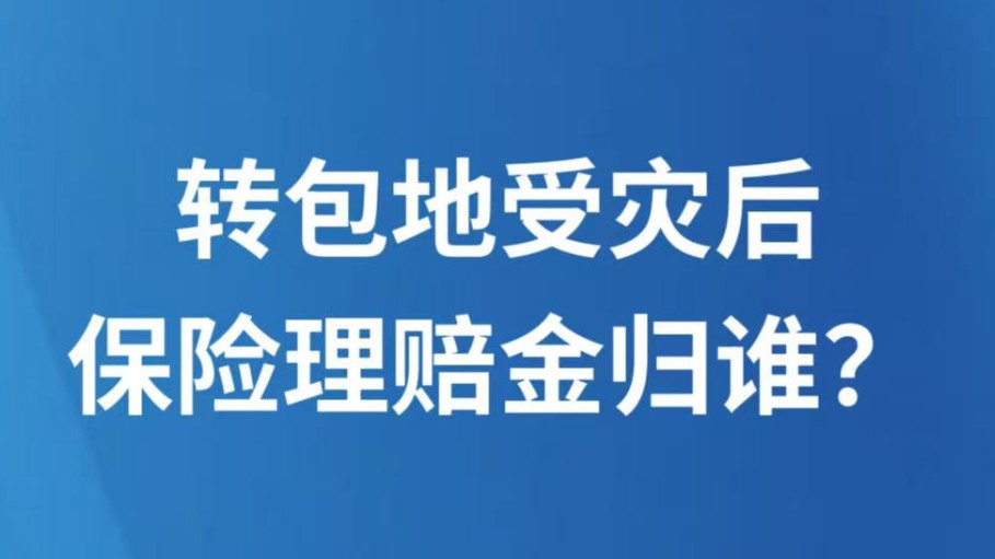 转包地受灾后保险理赔金归谁？