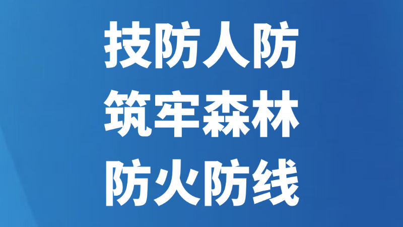 技防人防筑牢森林防火防线