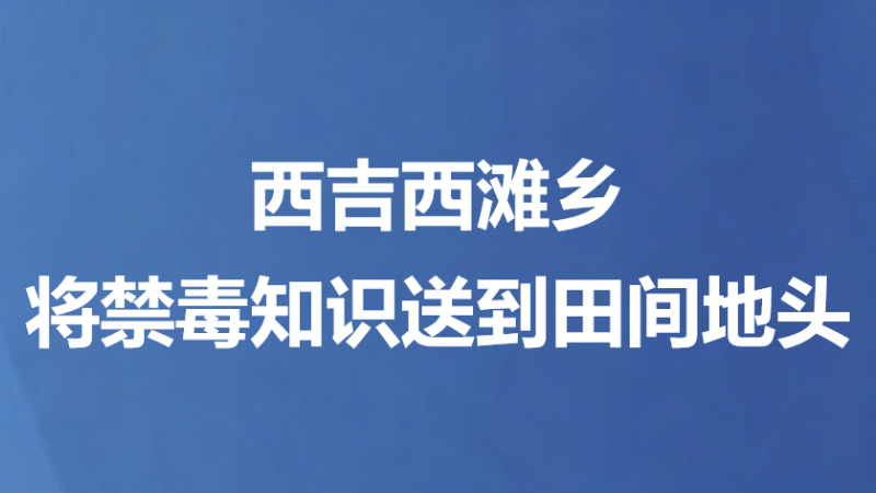 西吉西滩乡将禁毒知识送到田间地头