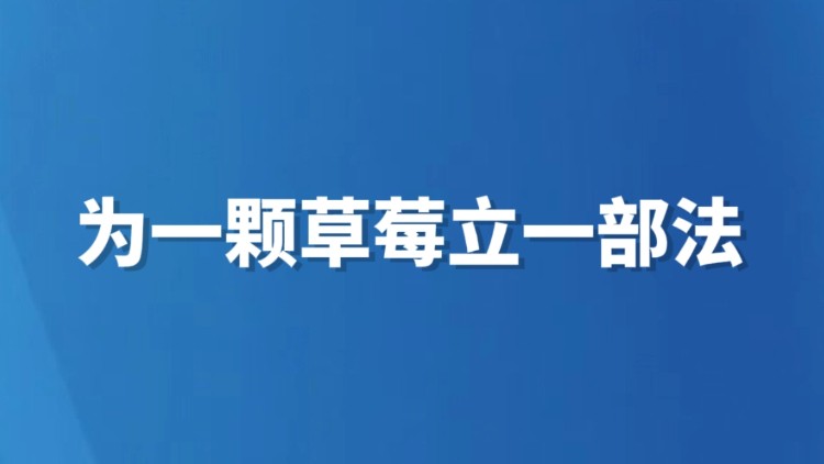 为一颗草莓立一部法