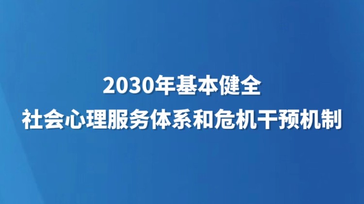 2030年基本健全社会心理服务体系和危机干预机制