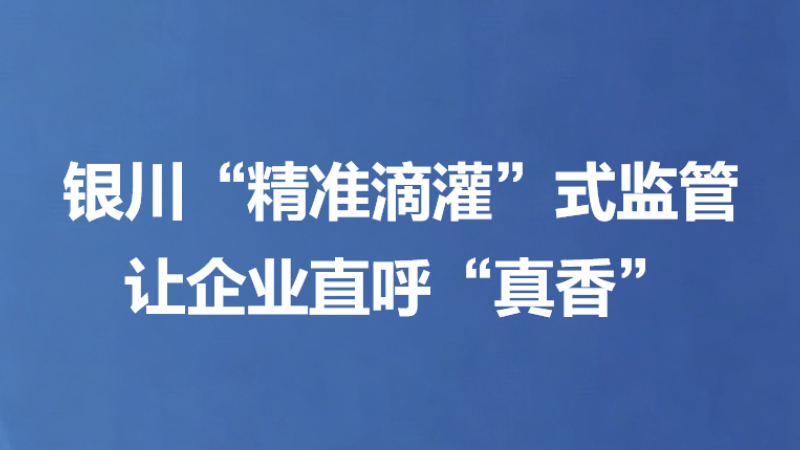 银川“精准滴灌”式监管让企业直呼“真香”