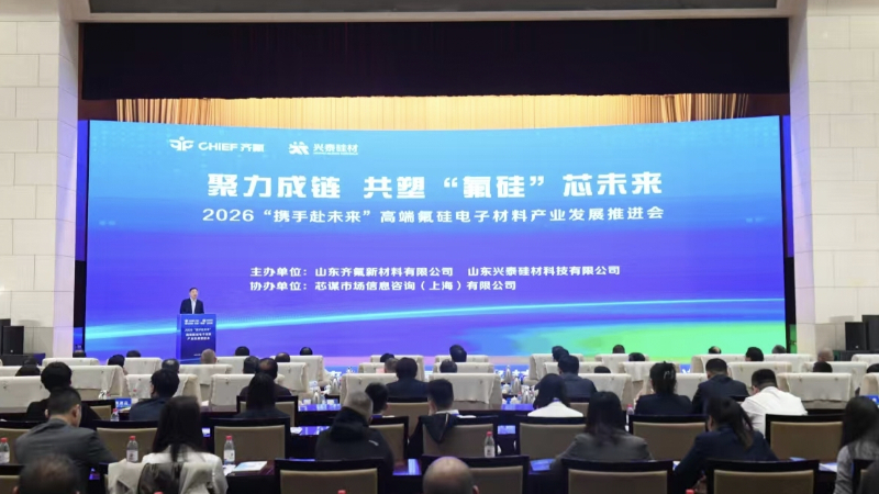 2026“携手赴未来”高端氟硅电子材料产业发展推进会举行
