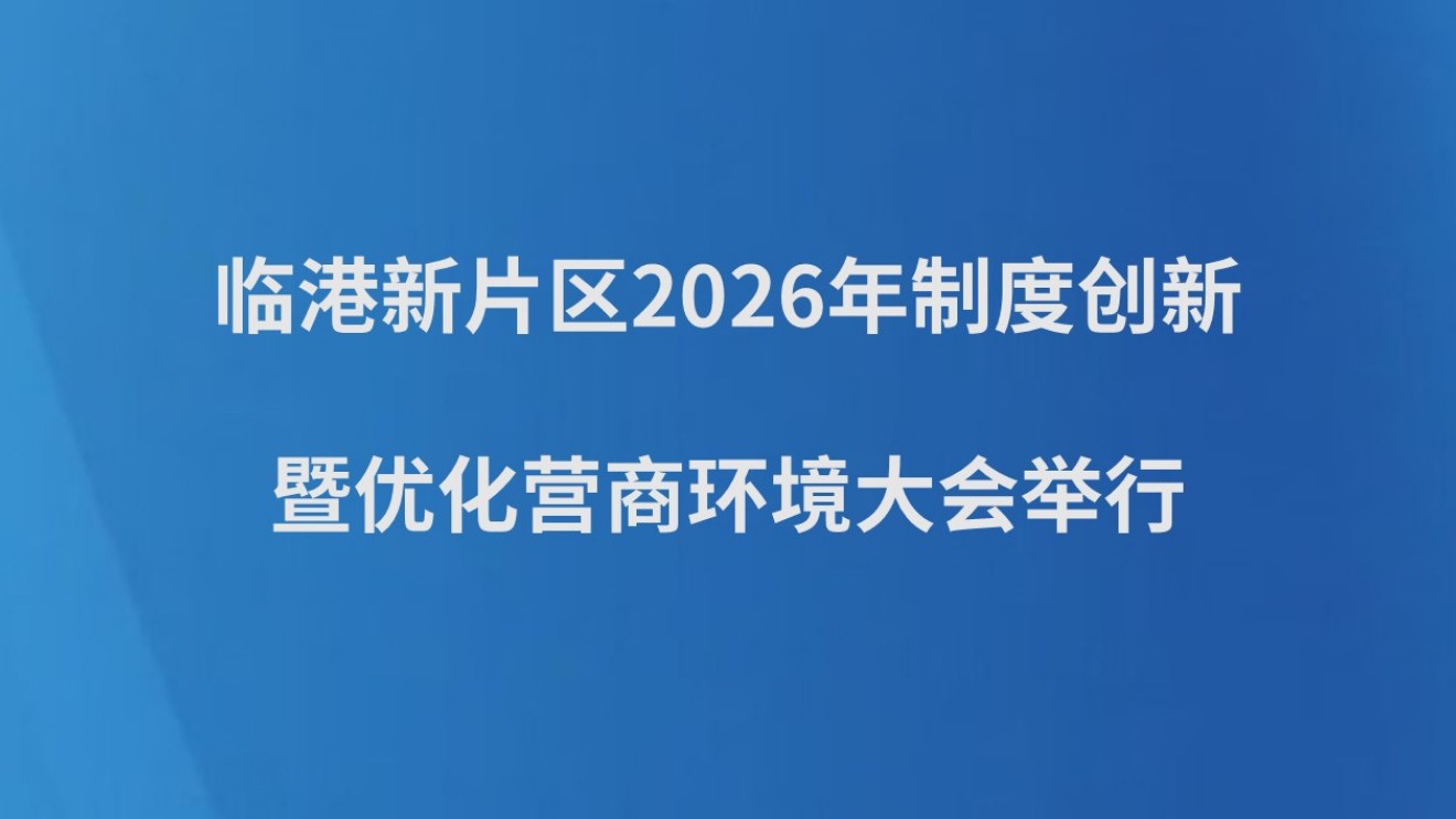 临港新片区2026年制度创新暨优化营商环境大会举行