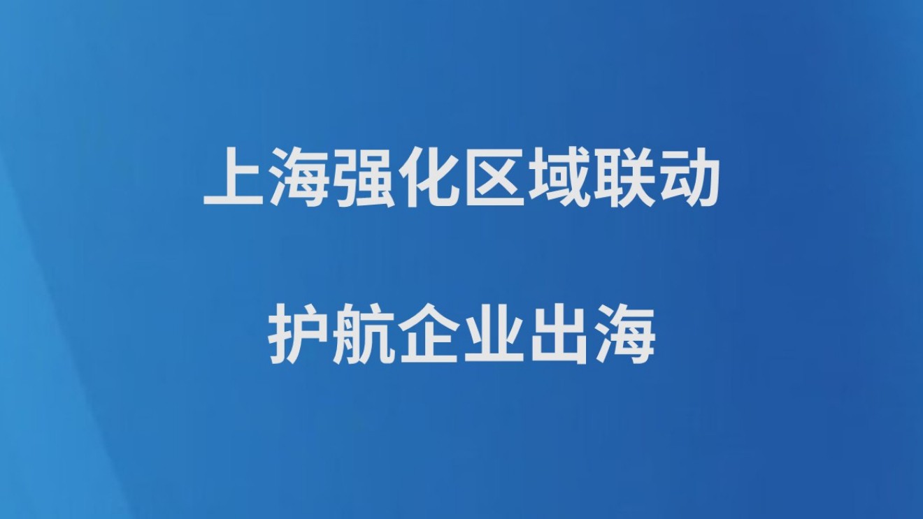 上海强化区域联动护航企业出海