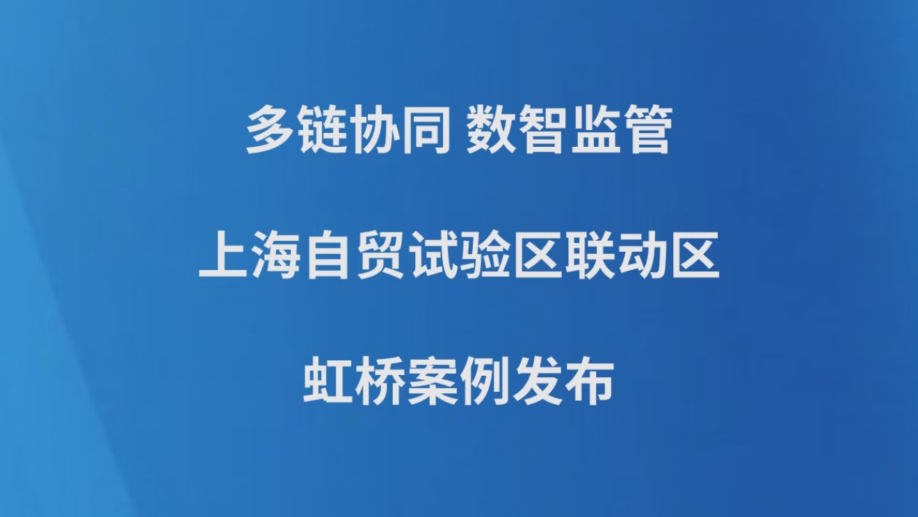 多链协同 数智监管 上海自贸试验区联动区虹桥案例发布