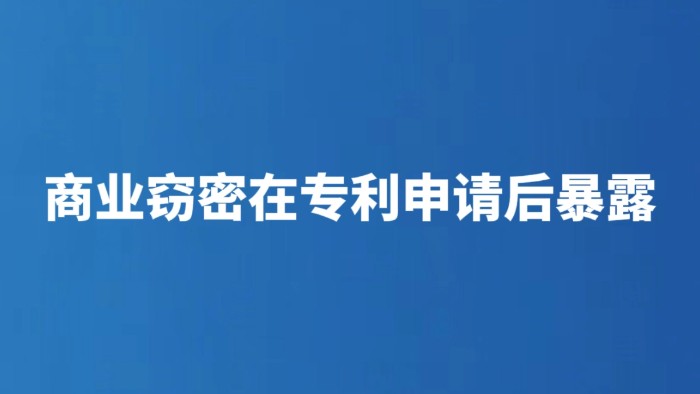 商业窃密在专利申请后暴露