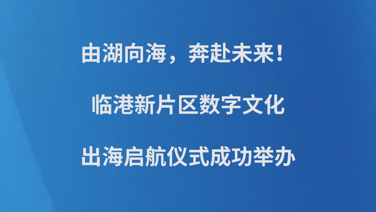 由湖向海，奔赴未来！临港新片区数字文化出海启航仪式成功举办