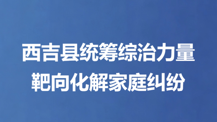 西吉县统筹综治力量靶向化解家庭纠纷