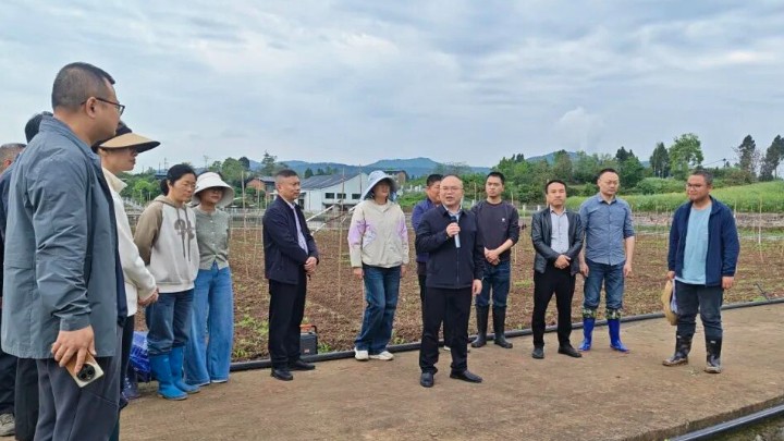 四川省达州市农科院第二党支部开展“田间大讲堂”主题党日活动