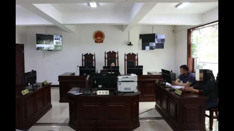 科技赋能司法为民 吉林省通榆法院首起数字化庭审顺利落幕