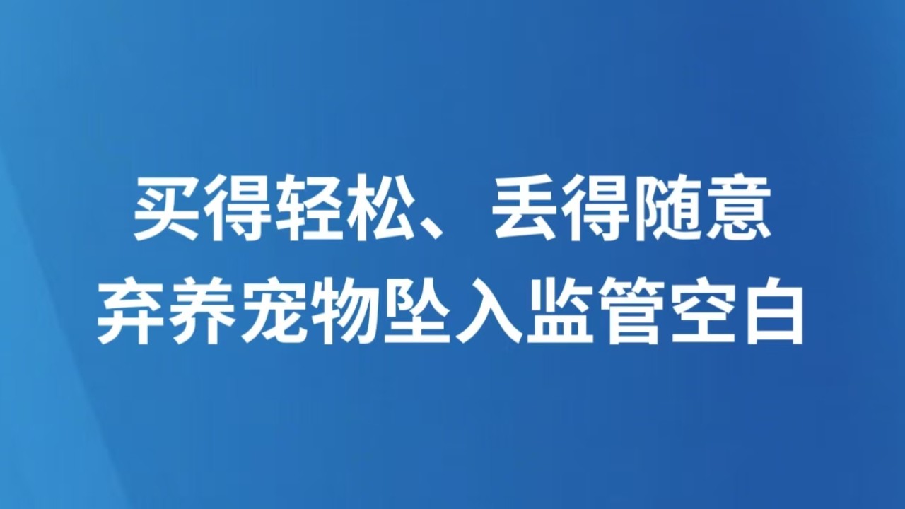 买得轻松、丢得随意，弃养宠物坠入监管空白