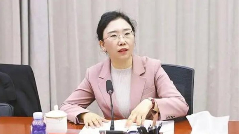 全国人大代表陈爱雪：加强土地承包法律制度研究 助力乡村和谐稳定