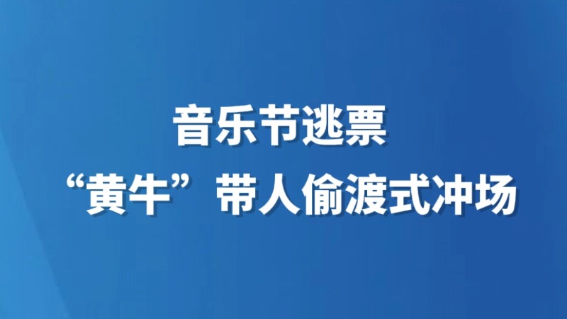 音乐节逃票“黄牛”带人偷渡式冲场