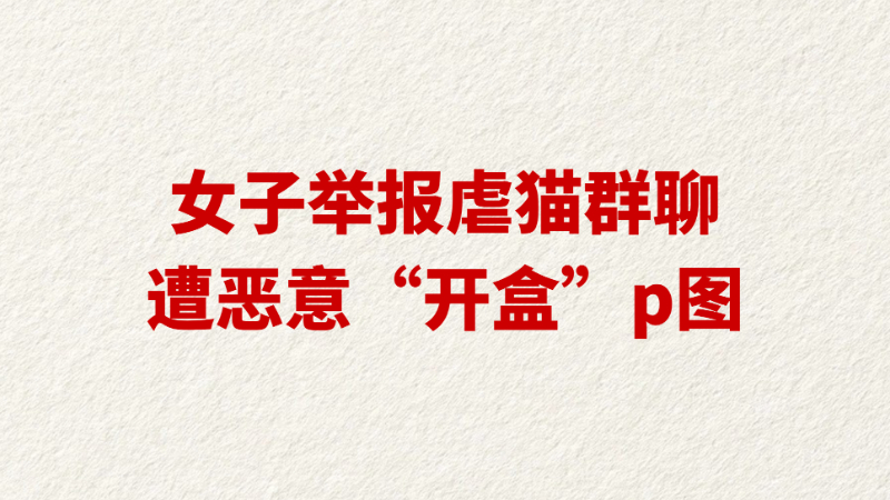 女子举报虐猫群聊遭恶意“开盒”p图