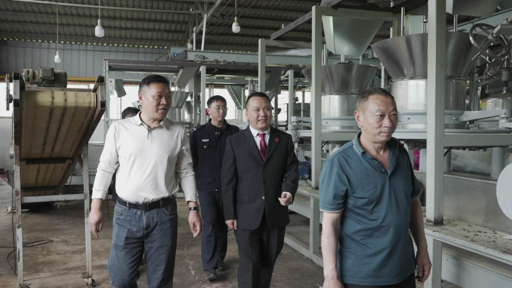 四川雅安：车岭法庭联动综治中心 法治护航“茶经济”行稳致远