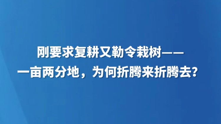 刚要求复耕又勒令栽树——一亩两分地，为何折腾来折腾去？
