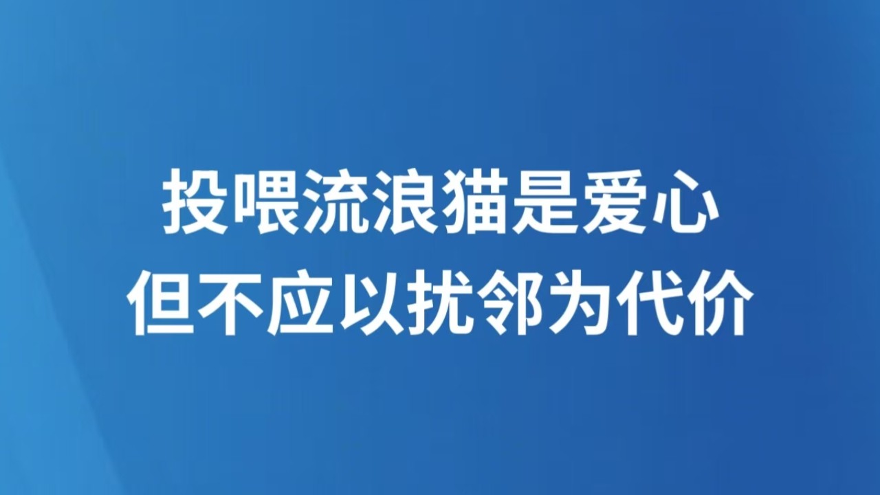 投喂流浪猫是爱心 但不应以扰邻为代价