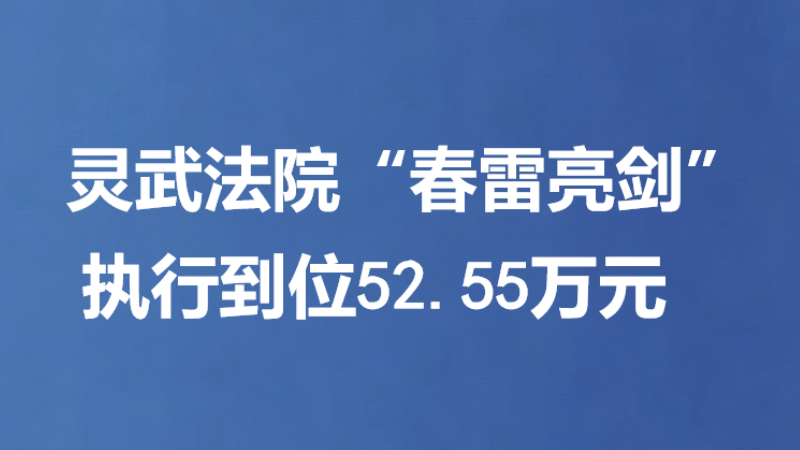 灵武法院“春雷亮剑”执行到位52.55万元