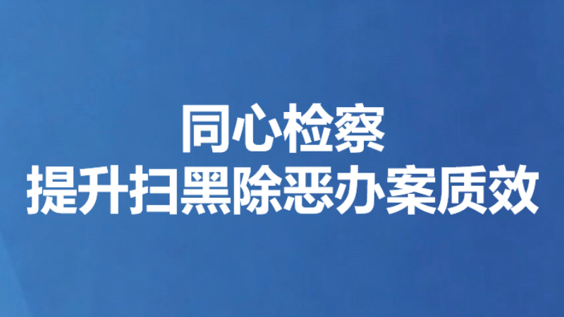同心检察提升扫黑除恶办案质效