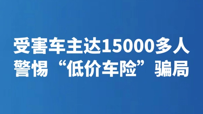 受害车主达15000多人 警惕“低价车险”骗局