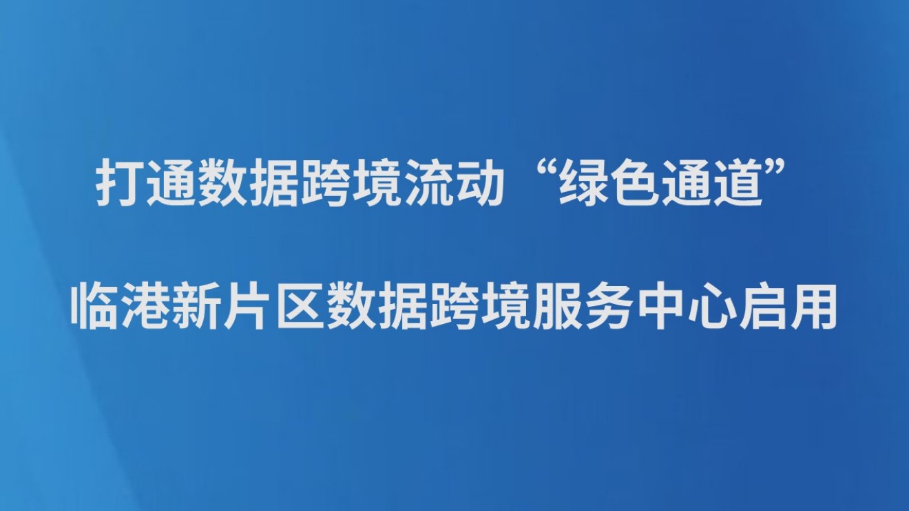 打通数据跨境流动“绿色通道”，临港新片区数据跨境服务中心启用