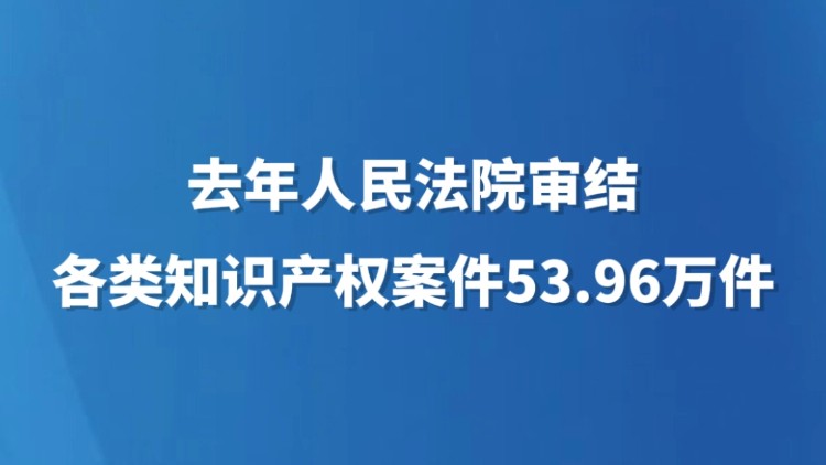 去年人民法院审结各类知识产权案件53.96万件