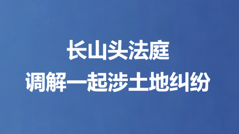 长山头法庭调解一起涉土地纠纷